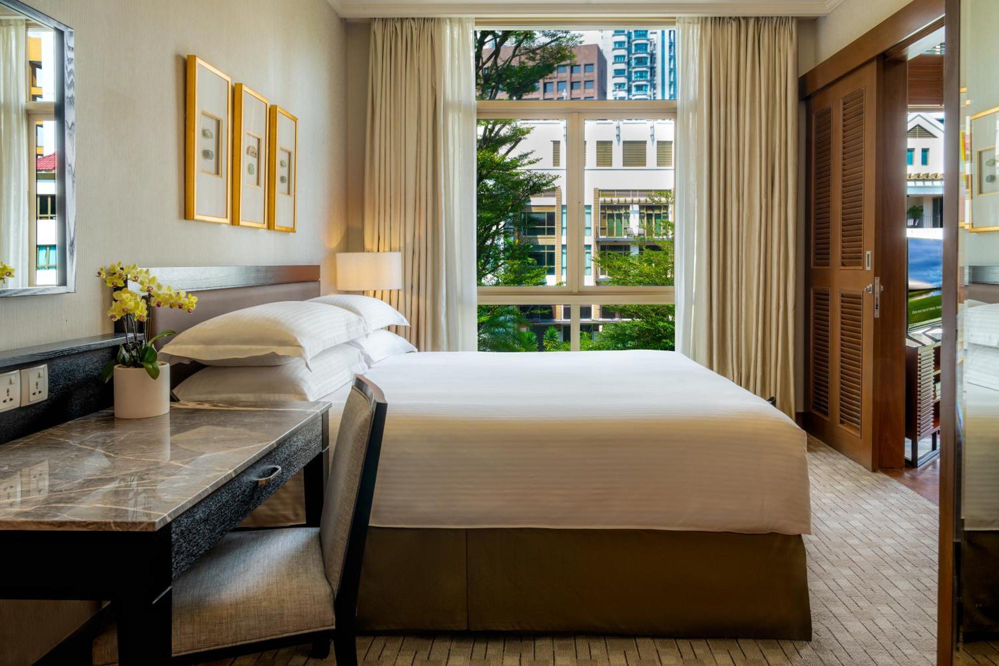 Deluxe One-Bedroom Apartment